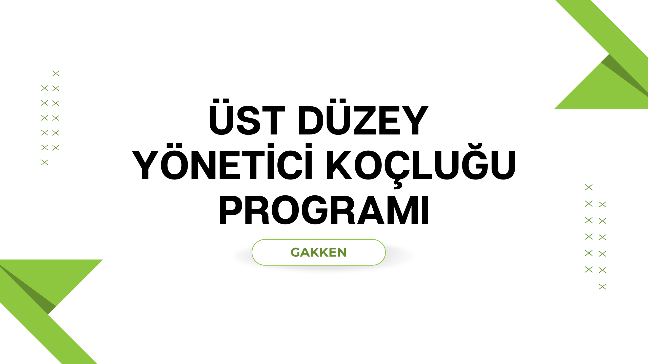 Üst Düzey Yönetici Koçluğu Programı