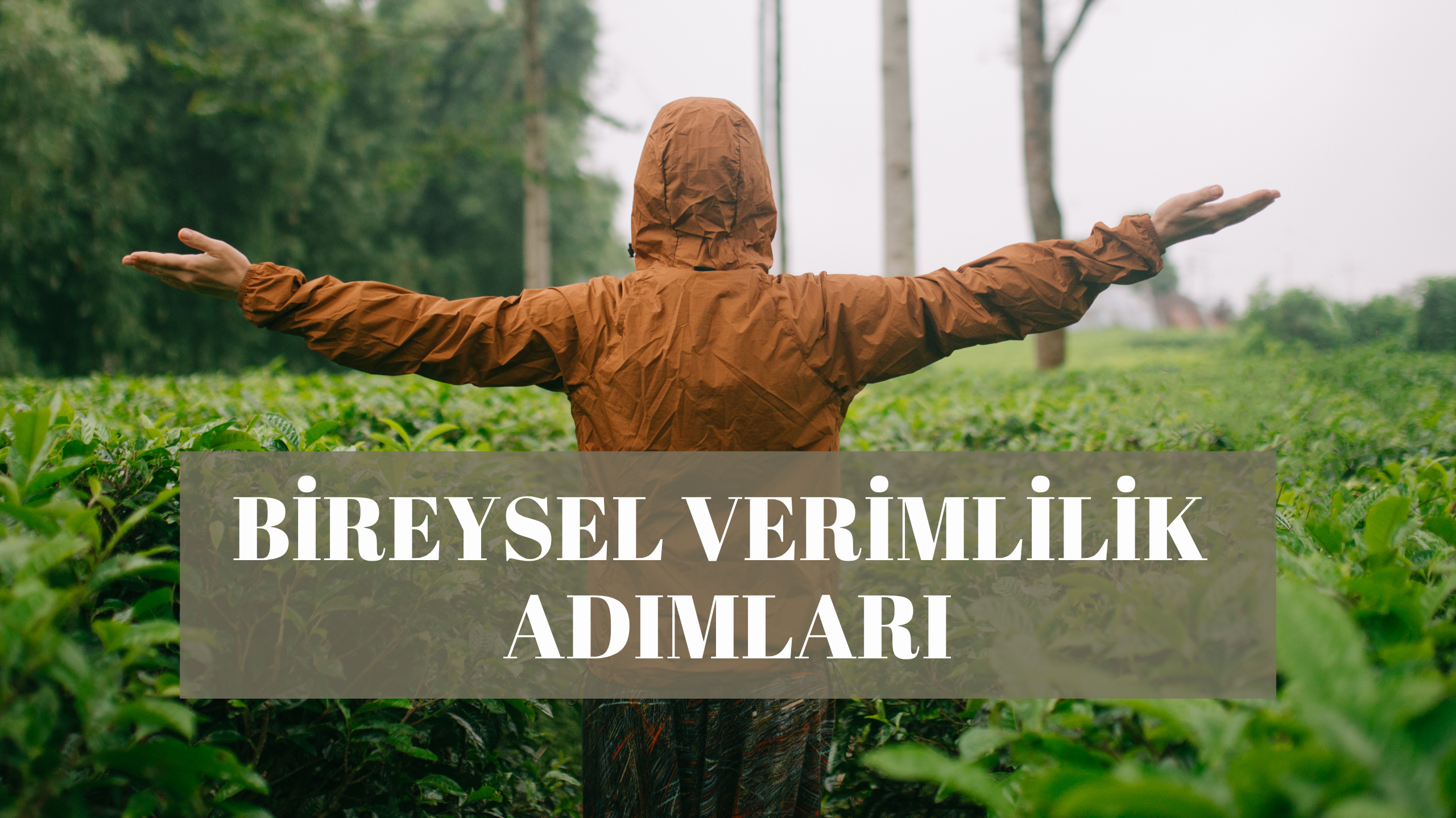 Bireysel Verimlilik Adımları